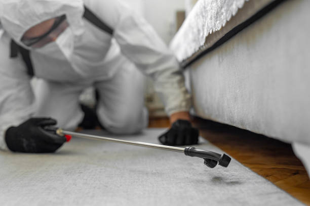 Professional Bed Bug Control technician working in Piatt County County, IL